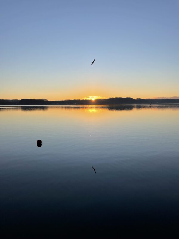 Tina Thorup - Healing, Hypnoterapi, vandreture m.m.