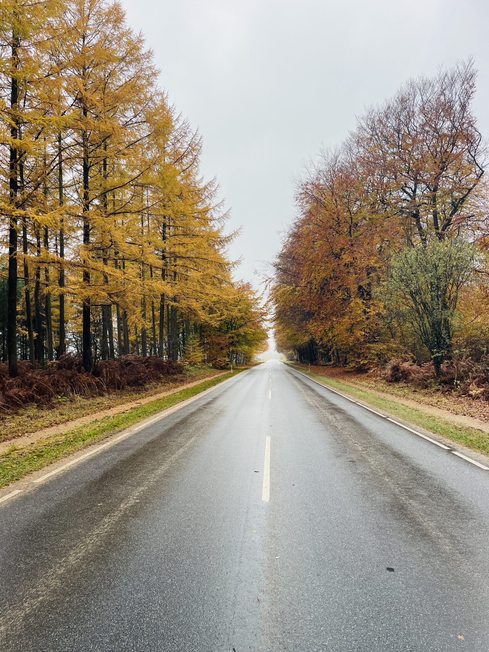 tina thorup terapi healing hypnoterapi overvægt massage vandre mols rebild bakker hiking and healing