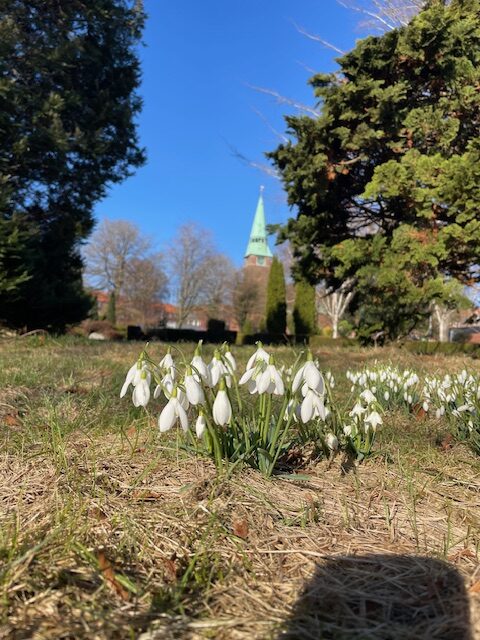 tina thorup terapi healing hypnoterapi overvægt massage vandre mols rebild bakker hiking and healing